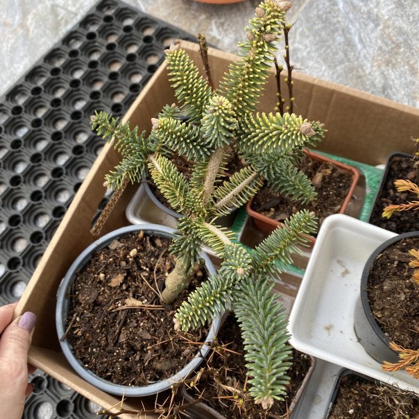 превью изображения отзыва