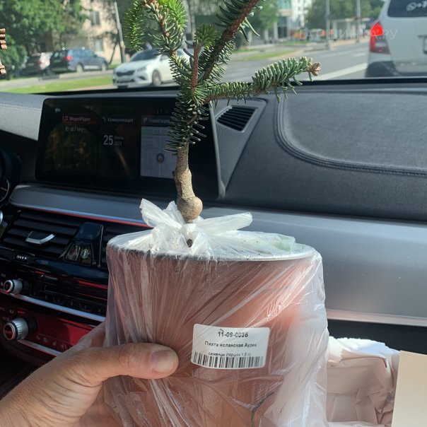 превью изображения отзыва