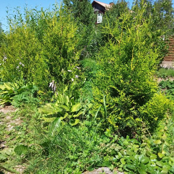 превью изображения отзыва