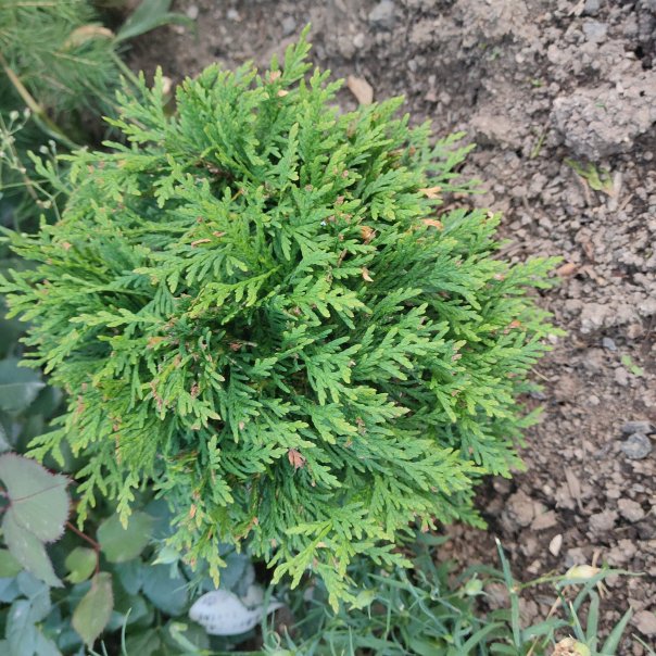 превью изображения отзыва