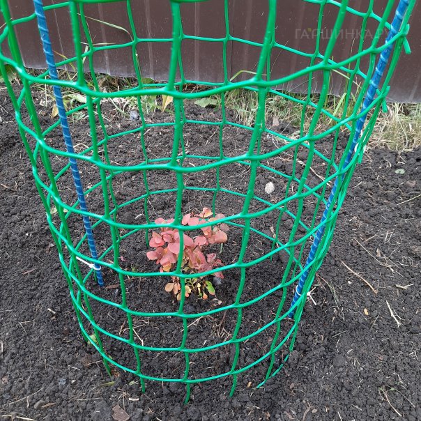 превью изображения отзыва