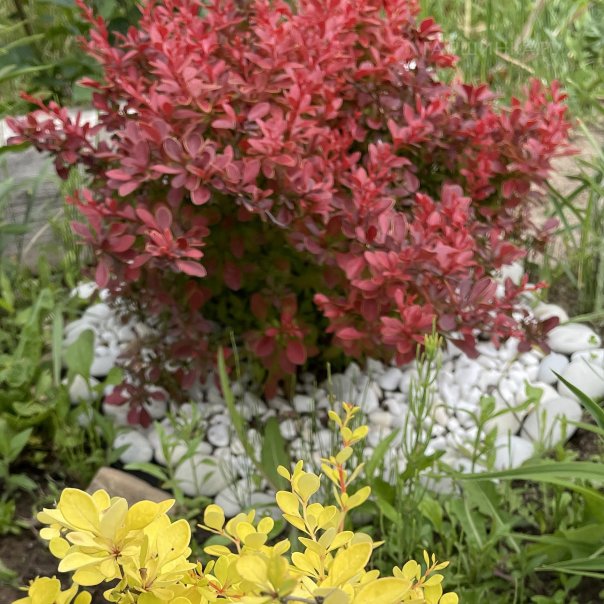 превью изображения отзыва