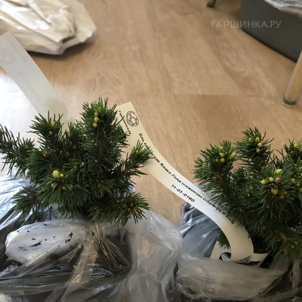 превью изображения отзыва