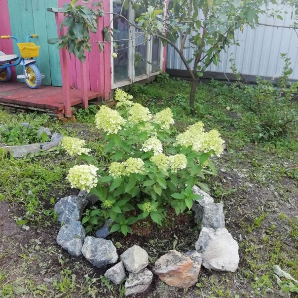 превью изображения отзыва