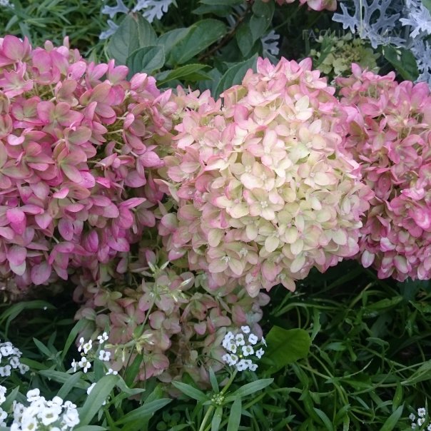 превью изображения отзыва