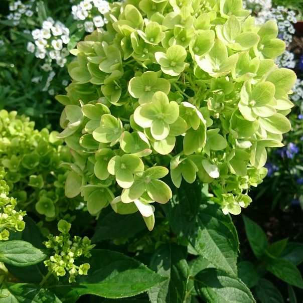 превью изображения отзыва