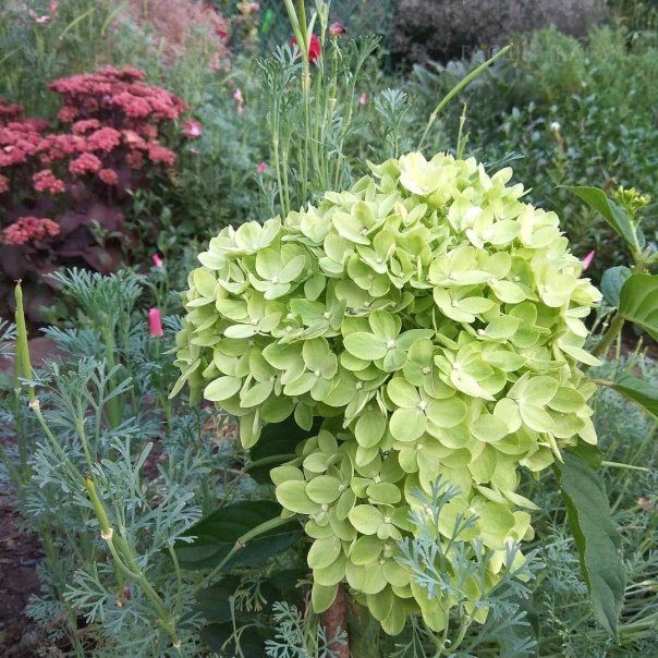 превью изображения отзыва