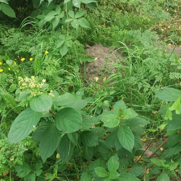 превью изображения отзыва