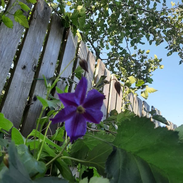 превью изображения отзыва