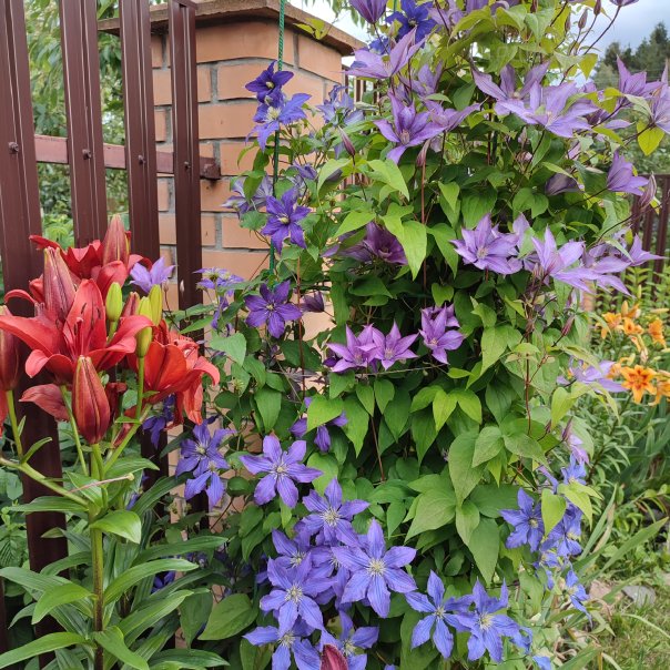 превью изображения отзыва