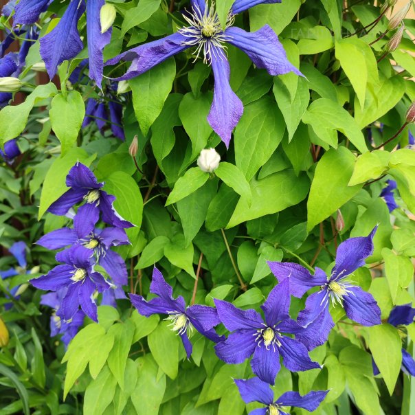 превью изображения отзыва