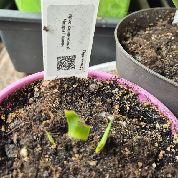 превью изображения отзыва