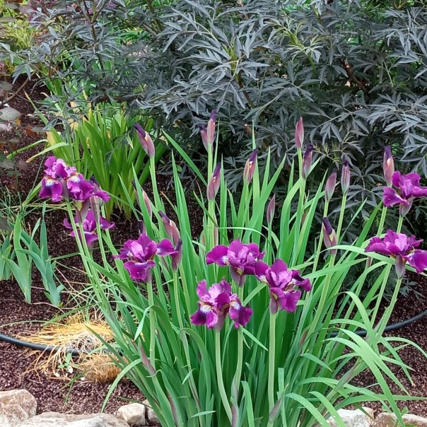 превью изображения отзыва