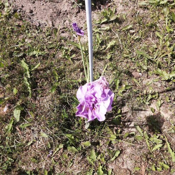 превью изображения отзыва