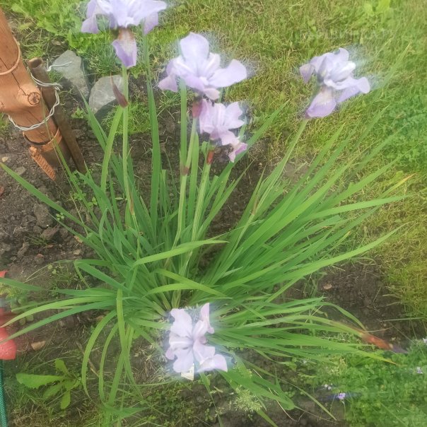 превью изображения отзыва