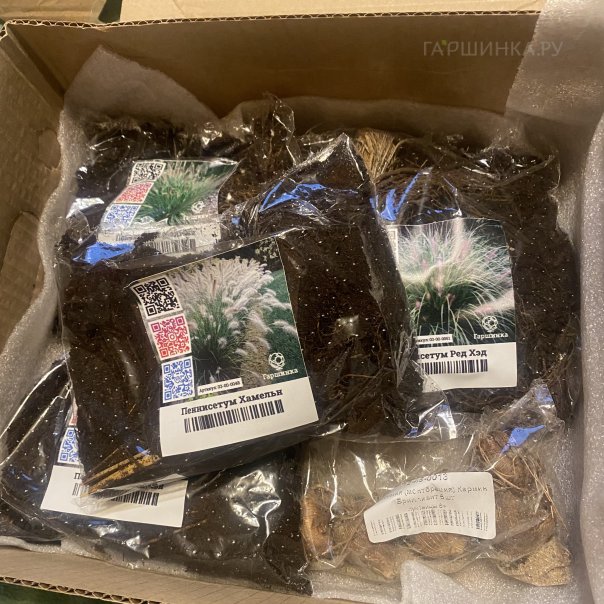 превью изображения отзыва