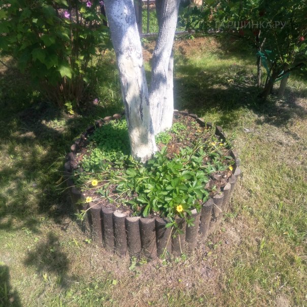 превью изображения отзыва