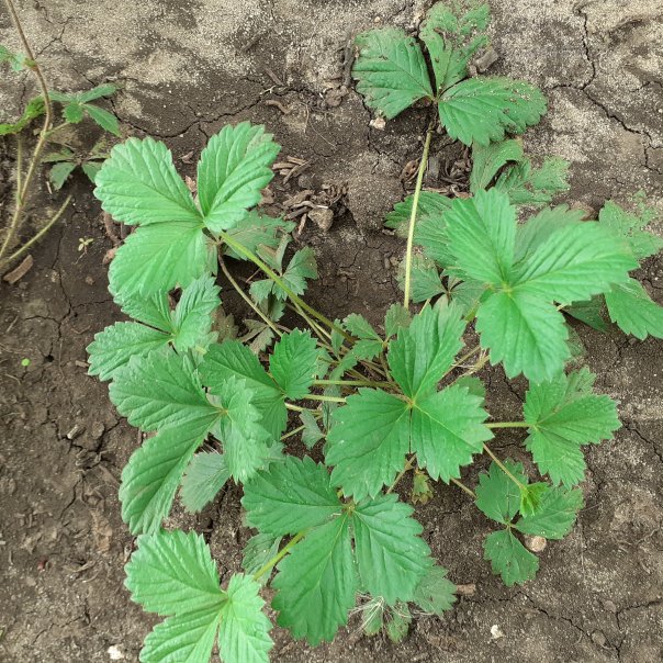 превью изображения отзыва