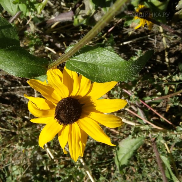 превью изображения отзыва