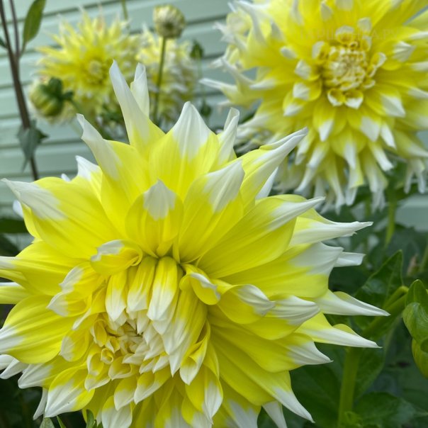 превью изображения отзыва