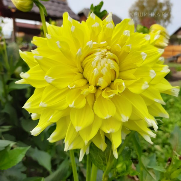 превью изображения отзыва