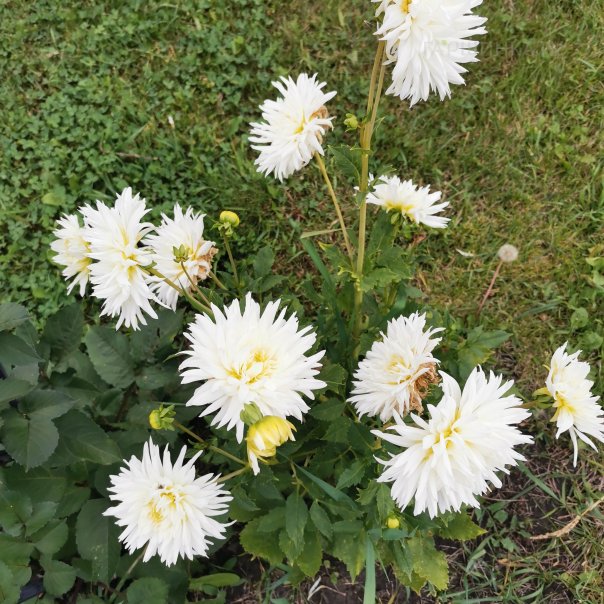 превью изображения отзыва