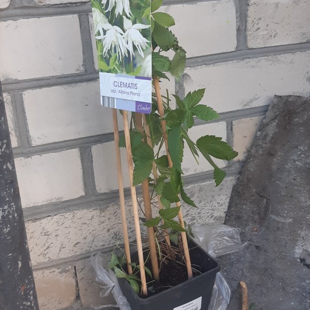 превью изображения отзыва