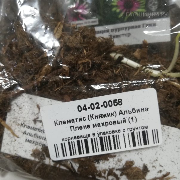 превью изображения отзыва