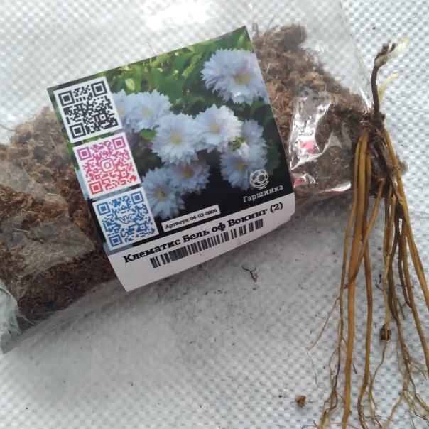 превью изображения отзыва