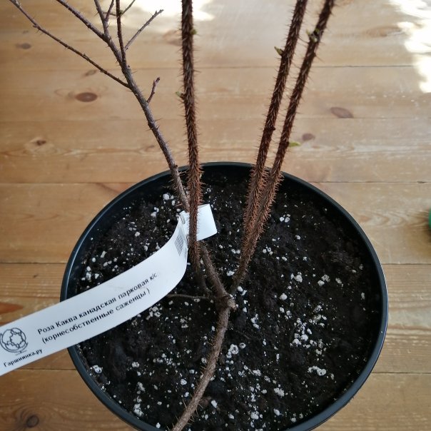 превью изображения отзыва