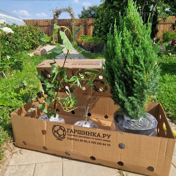 превью изображения отзыва