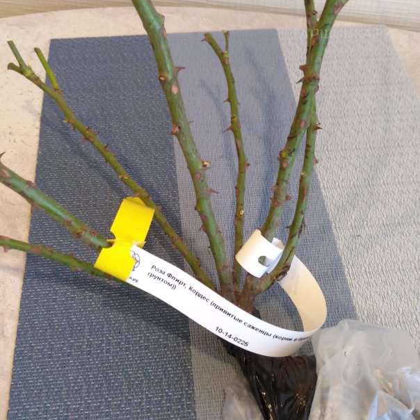 превью изображения отзыва