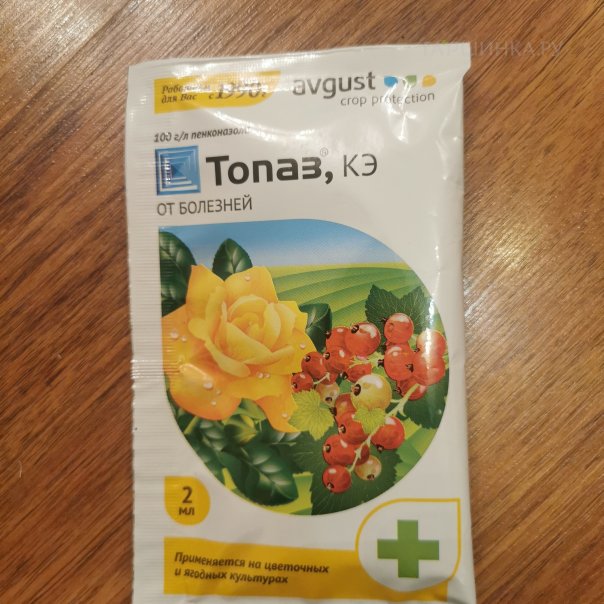 превью изображения отзыва