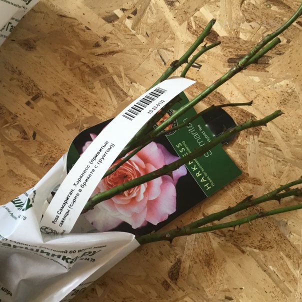 превью изображения отзыва