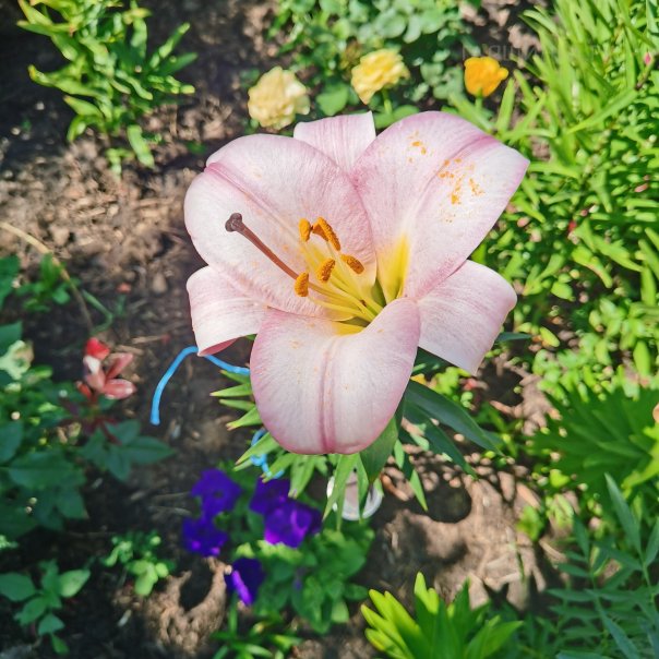 превью изображения отзыва