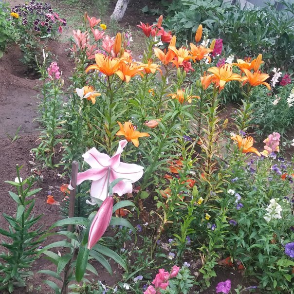 превью изображения отзыва