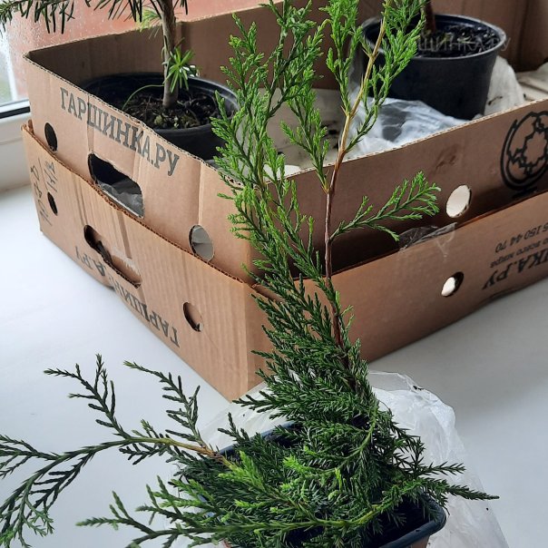 превью изображения отзыва