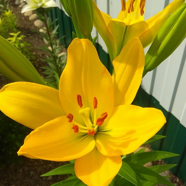 превью изображения отзыва