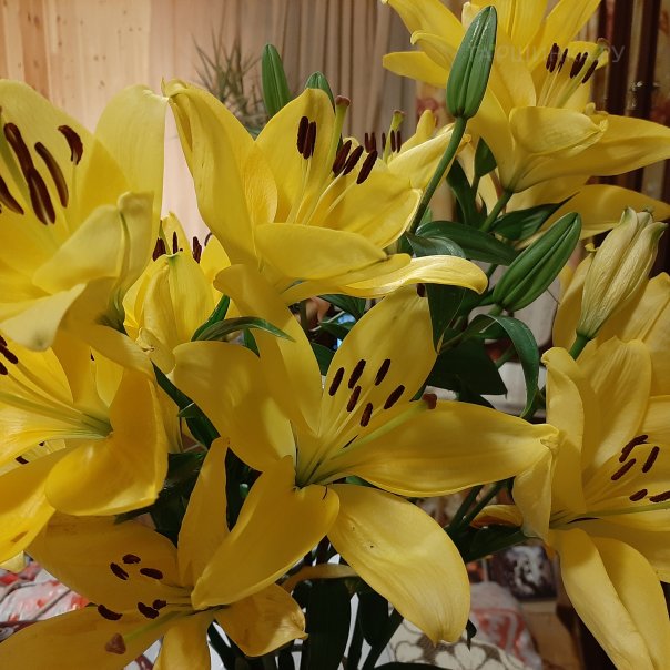 превью изображения отзыва