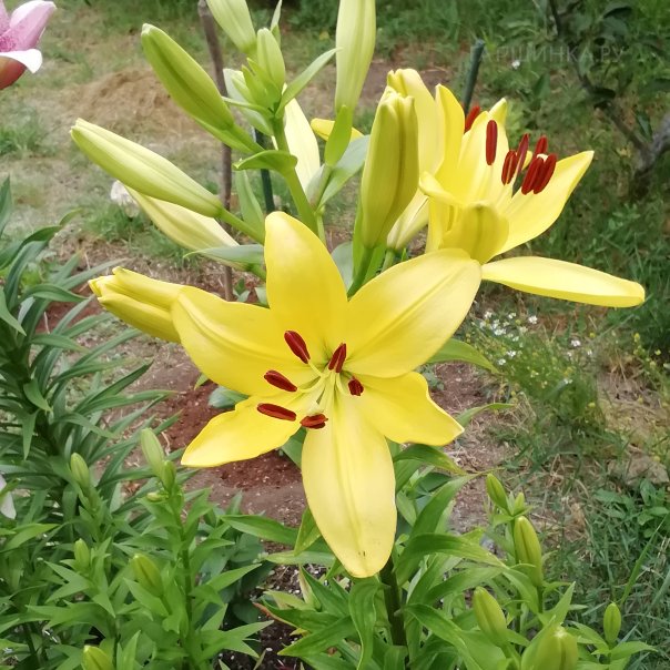 превью изображения отзыва