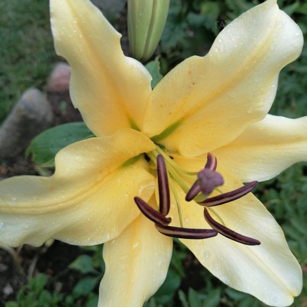 превью изображения отзыва