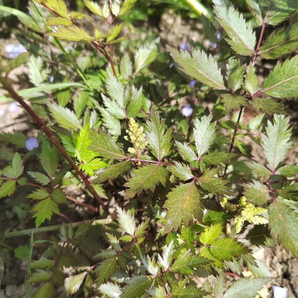 превью изображения отзыва