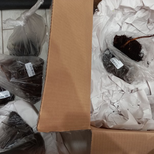 превью изображения отзыва