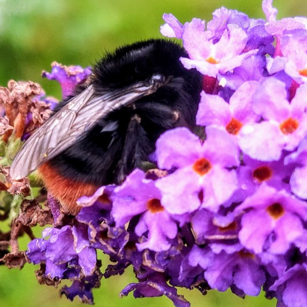 превью изображения отзыва