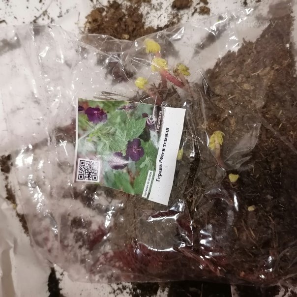 превью изображения отзыва