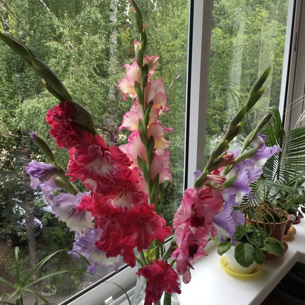 превью изображения отзыва