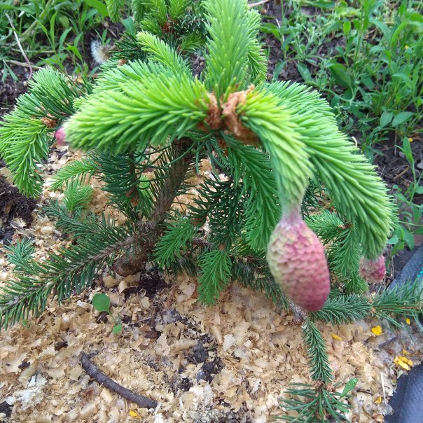 превью изображения отзыва