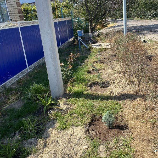 превью изображения отзыва