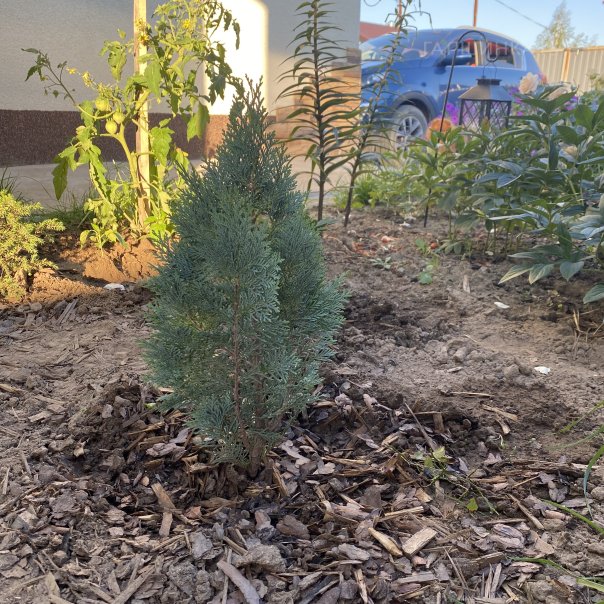 превью изображения отзыва