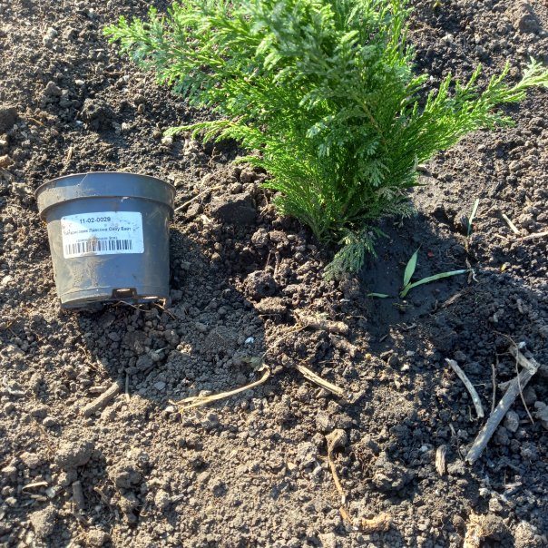 превью изображения отзыва